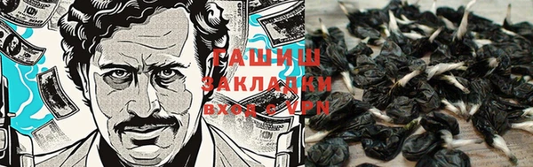 каннабис Абинск