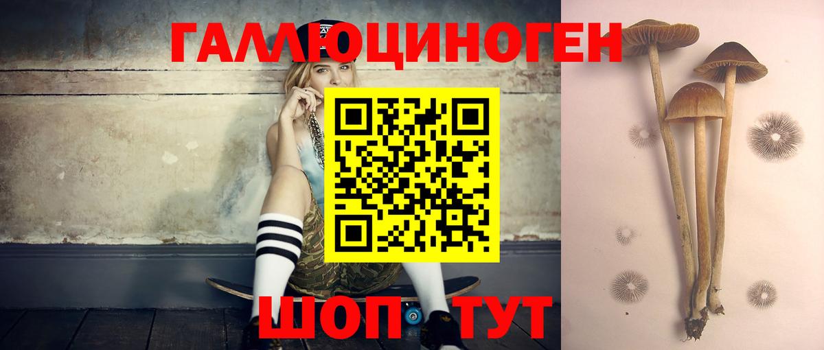 Галлюциногенные грибы GOLDEN TEACHER Ханты-Мансийск